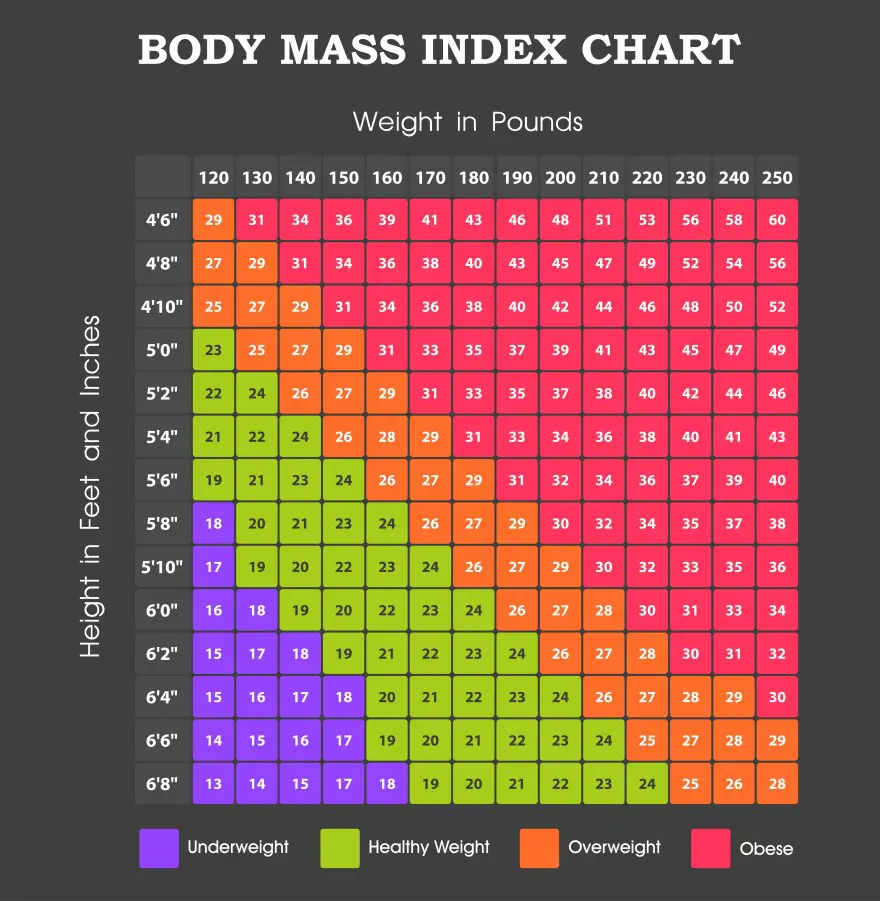 Wykres zdrowia Bmi