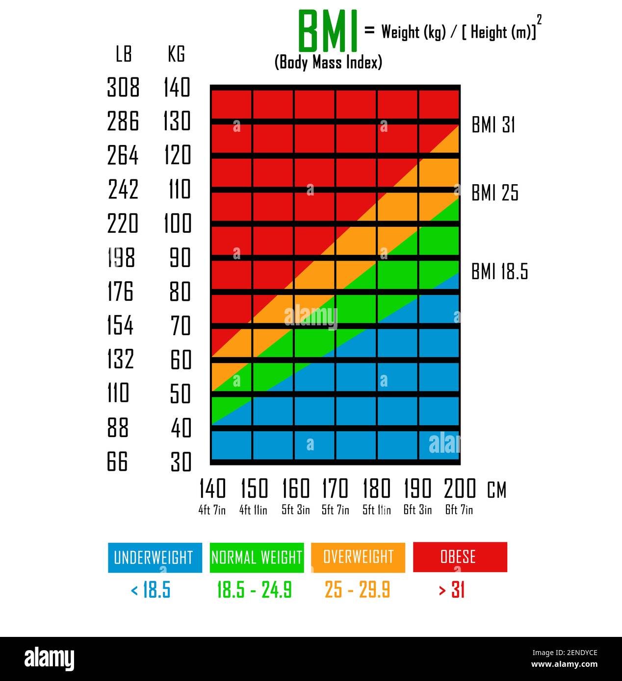 Zdrowy wykres Bmi