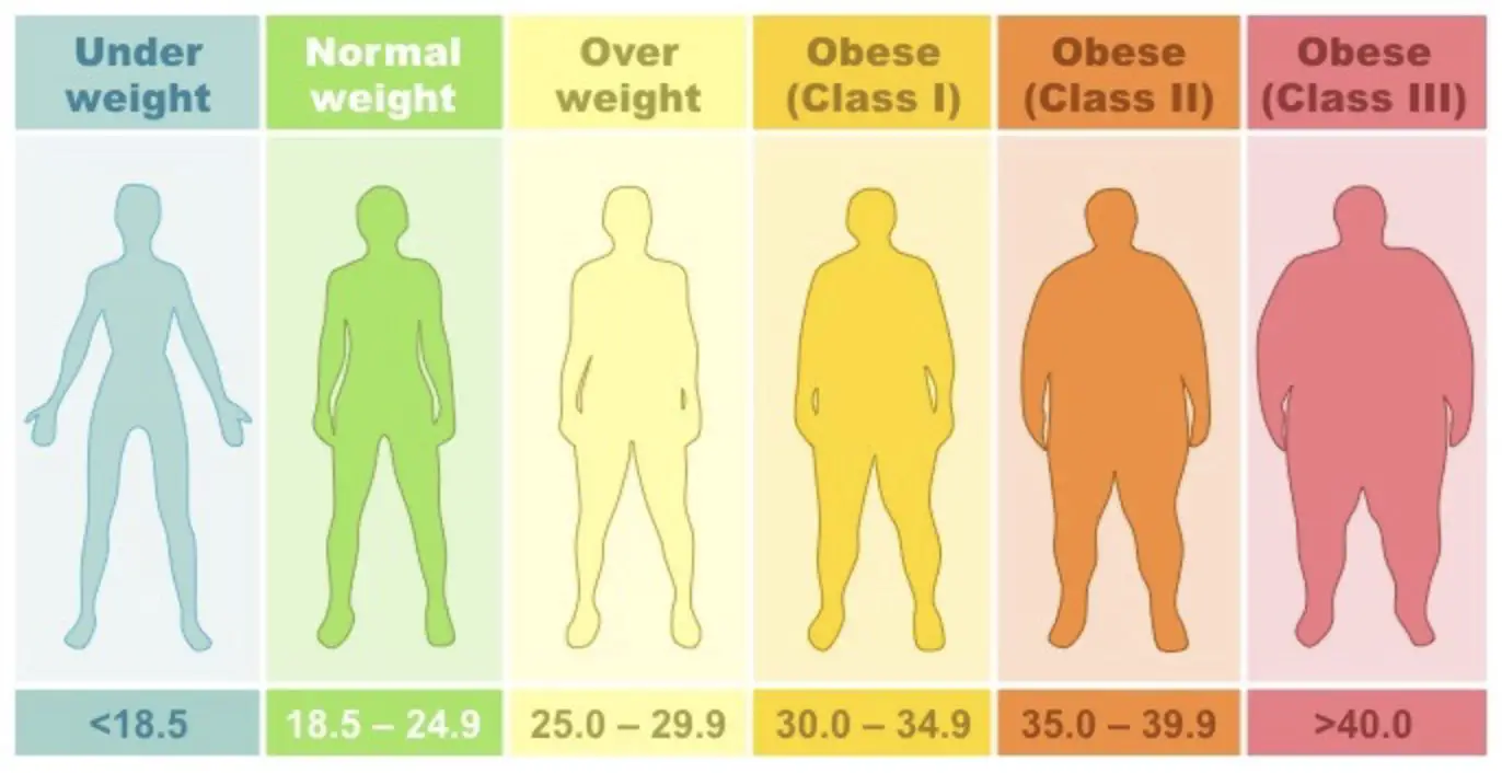 Normalny wskaźnik masy ciała